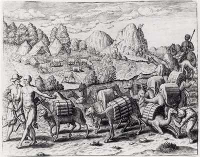Pack Train of Llamas Laden with Silver from Potosi Mines of Peru, engraved by Theodore de Bry, from 